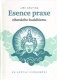 Esence praxe tibetského buddhismu ve světle uvědomění